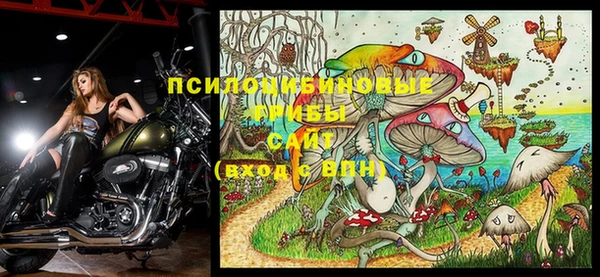бошки Корсаков